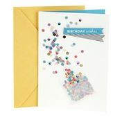 Hallmark Birthday Card (#5) (Envelope with Confetti)