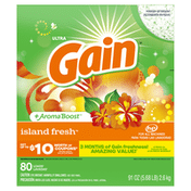 Gain Powder Laundry Detergent For Regular And He Washers, Island Fresh Scent