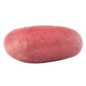 Organic Red Potato