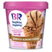Baskin-Robbins Jamoca Almond Fudge