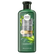 Herbal Essences bio:renew Bamboo + Potent Aloe Sulfate Free Shampoo Strength