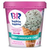 Baskin-Robbins Mint Chocolate Chip