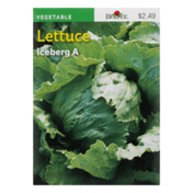 Burpee Seeds, Lettuce, Iceberg A, Heirloom