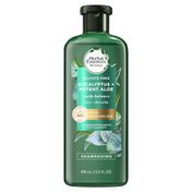 Herbal Essences Eucalyptus + Potent Aloe Sulfate Free Shampoo Scalp