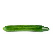 English Seedless Cucumber