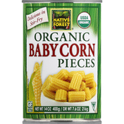 Native Forest Baby Corn Pieces, Organic