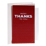 Hallmark Thank You Greeting Card (You're Appreciated)
