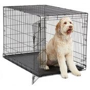 Midwest Metal Products iCrate 48" x 30" x 33" Folding Metal Dog Crate With Pan & Divider