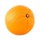 sk Valencia Oranges