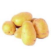 Organic Baby Gold Potatoes