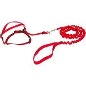 PetSafe Gentle Leader Come With Me Kitty Harness & Bungee Leash In Red Large