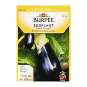 Burpee Eggplant Black Knight