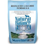 cat dressed like dog