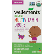 Wellements Multivitamin Drops, Organic, Cherry Flavor, 2 Months+