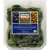 Earthbound Farms Salad & Topping, Dried Blueberries & Almonds, with Organic Baby Spinach