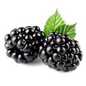 Organic Blackberries Package