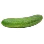 Mini Seedess Cucumber