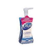 Dial Spring Water Complete Foaming Hand Wash