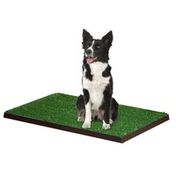 Four Paws Medium Replacement Grass for Wee Wee Patch