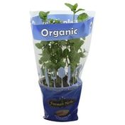 Freeman Herbs Mint, Organic