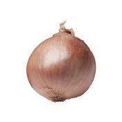 Roscoff Onion
