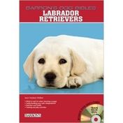 Barron's Labrador Retrievers