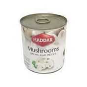 Haddar Canned Mushroom Stems & Pieces