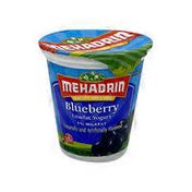 MEHADRIN Low Fat Blueberry Yogurt