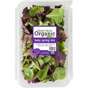 Taylor Farms Organic Spring Mix