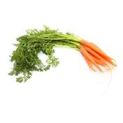 Baby Carrot Bunch