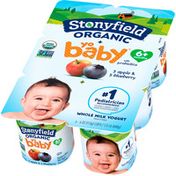 Stonyfield Organic YoBaby Apple/Blueberry Whole Milk Yogurt with Probiotics