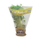 Happy Valley Organics Potted Flat Parsley