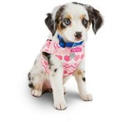 smoochie pooch harness
