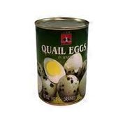 Ctf Canned Quail Egg In Water