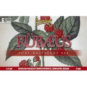 Founders Beer, Rubaeus, 6 Pack