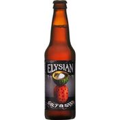 Elysian Salt & Seed Watermelon Beer Bottle
