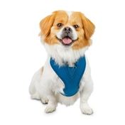 reddy dog harness small
