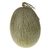 Hami Tuscan Melon