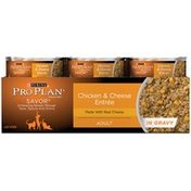 Pro Plan Cat Wet Savor Adult Chicken & Cheese Entree in Gravy Cat Food