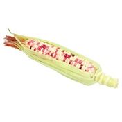 Bicolor Sweet Corn