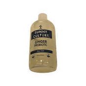 Sunny Culture Ginger Probiotic Sparkling Kefir Water