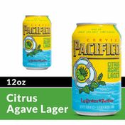 Pacifico Citrus Agave Mexican Lager Beer Can