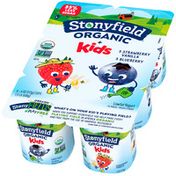 Stonyfield Organic Kids Blueberry & Strawberry Vanilla Lowfat Yogurt Variety Pac