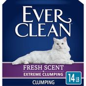 Ever Clean Extreme Clump Clumping Cat Litter, Fresh Scent, s