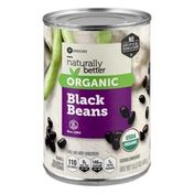 Southeastern Grocers Naturally Better Organic Beans Black