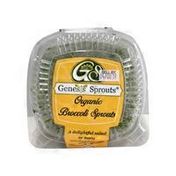 Genesis Sprouts Organic Broccoli Sprouts