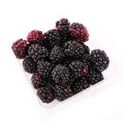 Sunbelle Blackberries