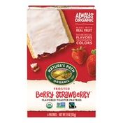 Nature's Path Berry Strawberry Frosted Toaster Pastries