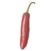 Red Serrano Pepper
