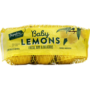 Signature Farms Lemons, Baby